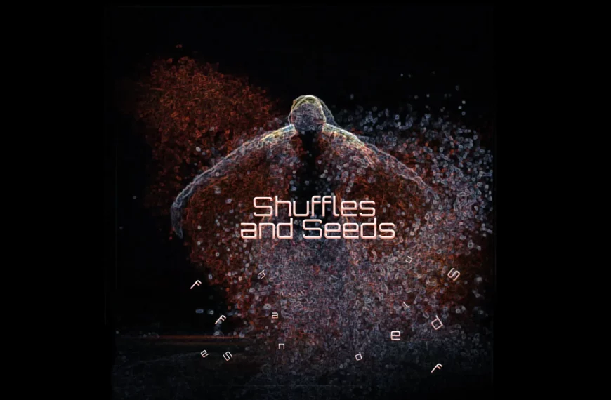 Shuffles and Seeds Virtual reality Embodiment